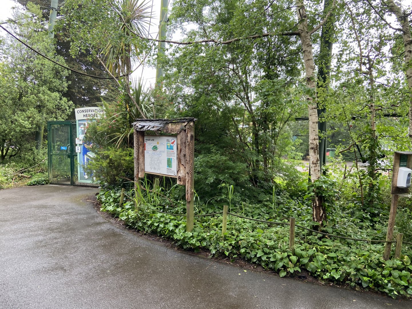 Bristol Zoo fruit bats