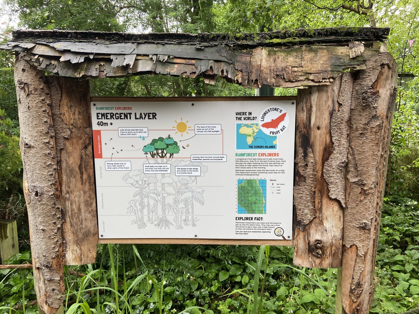 Bristol Zoo fruit bats
