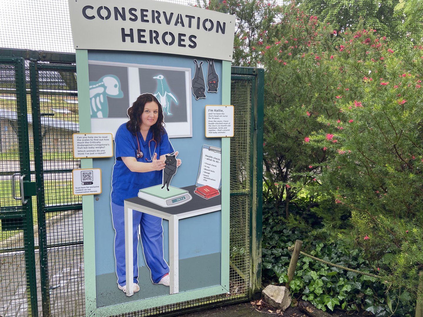 Bristol Zoo fruit bats