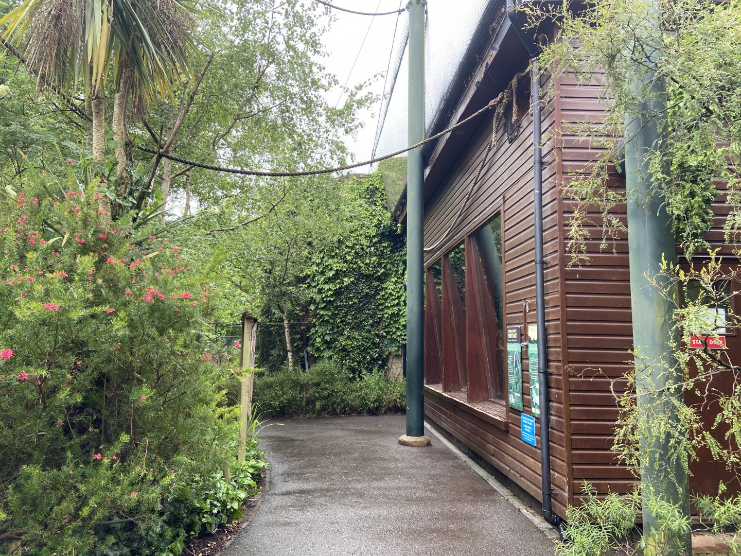 Bristol Zoo fruit bats