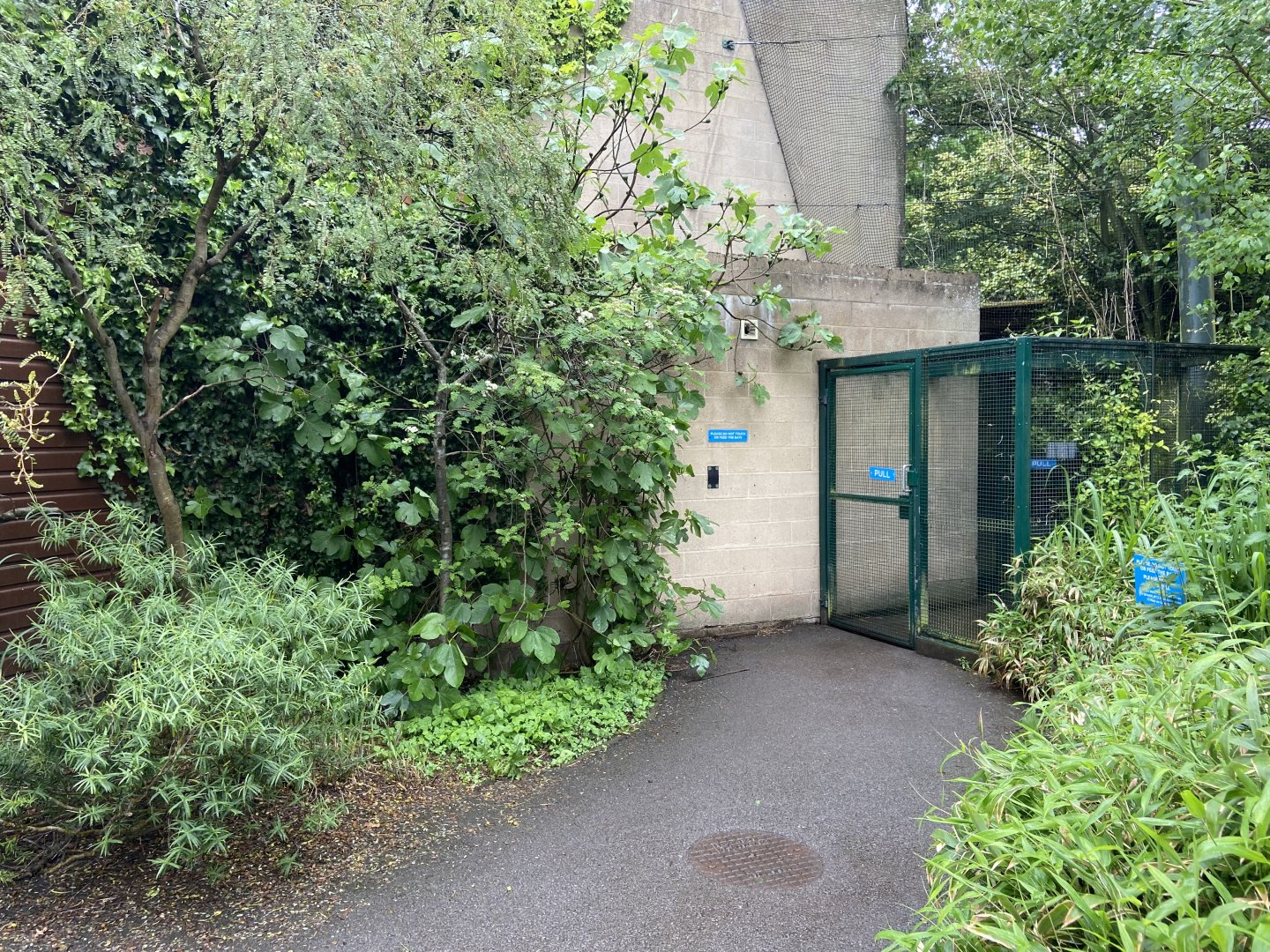 Bristol Zoo fruit bats