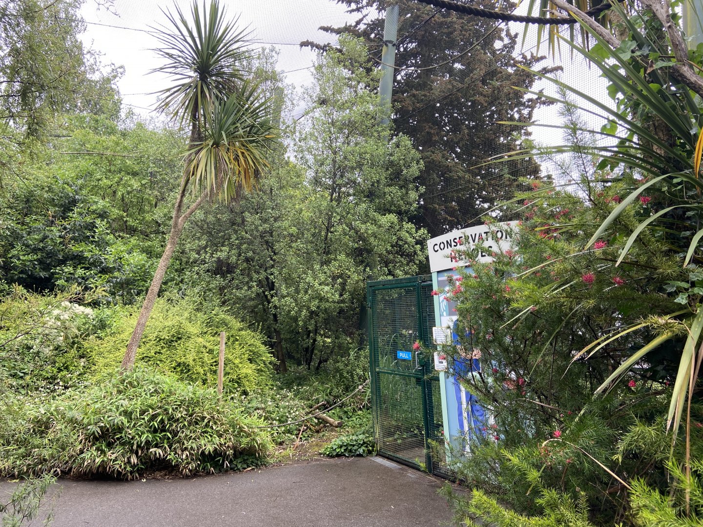 Bristol Zoo fruit bats
