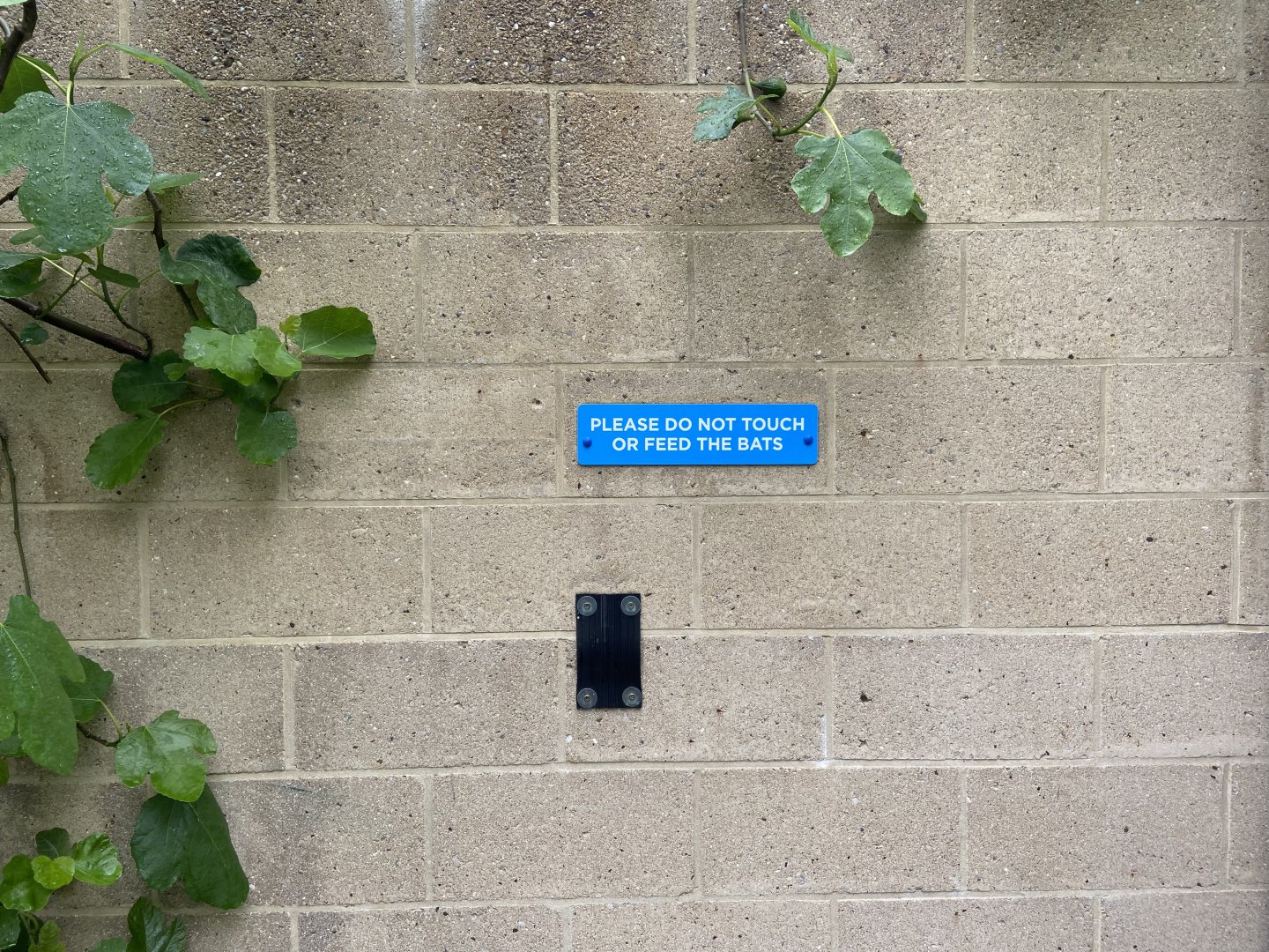 Bristol Zoo fruit bats