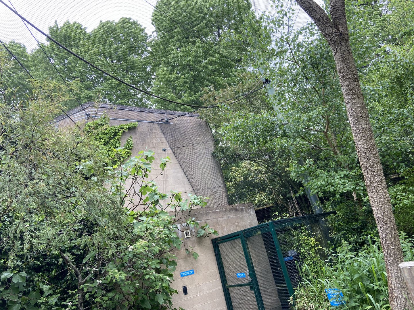 Bristol Zoo fruit bats