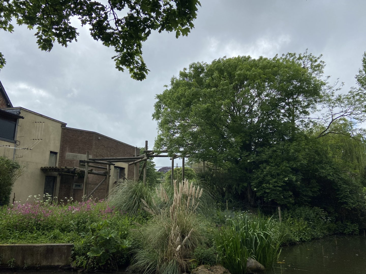 Bristol Zoo Gorilla Island