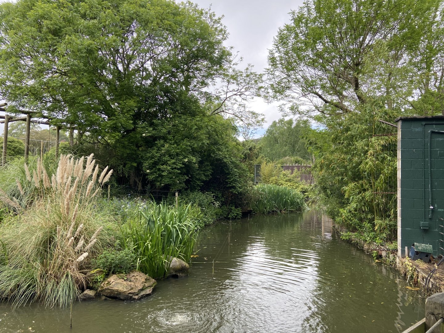 Bristol Zoo Gorilla Island