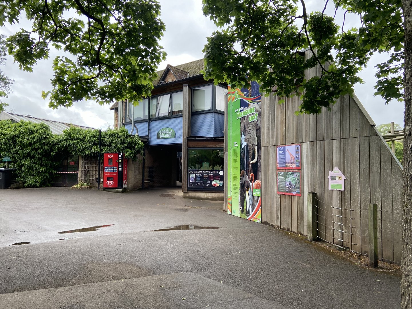 Bristol Zoo Gorilla Island