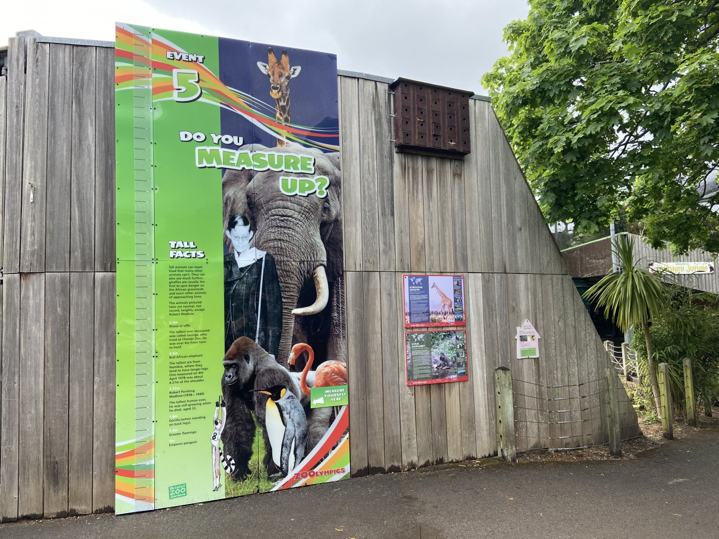 Bristol Zoo Gorilla Island