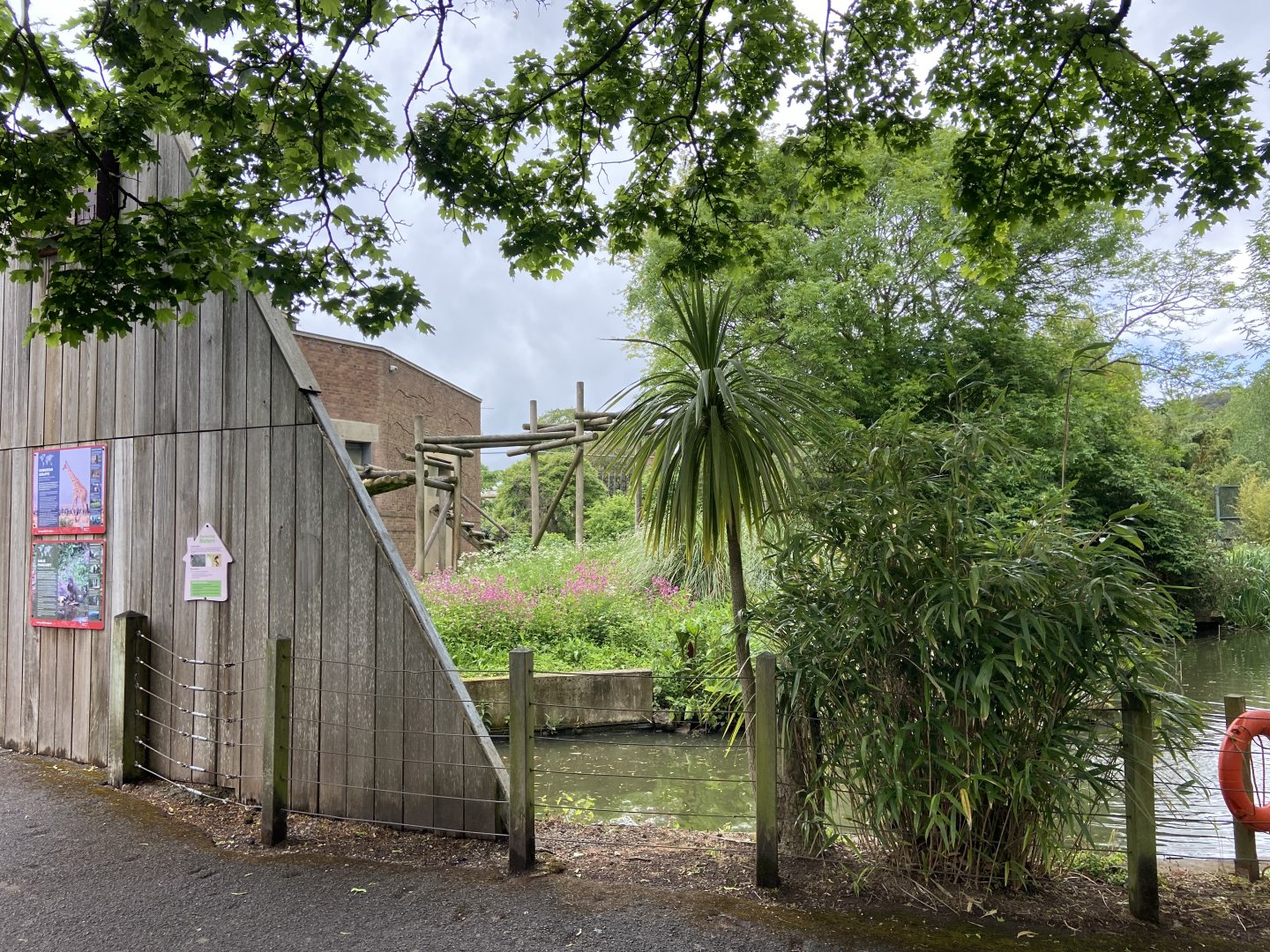 Bristol Zoo Gorilla Island