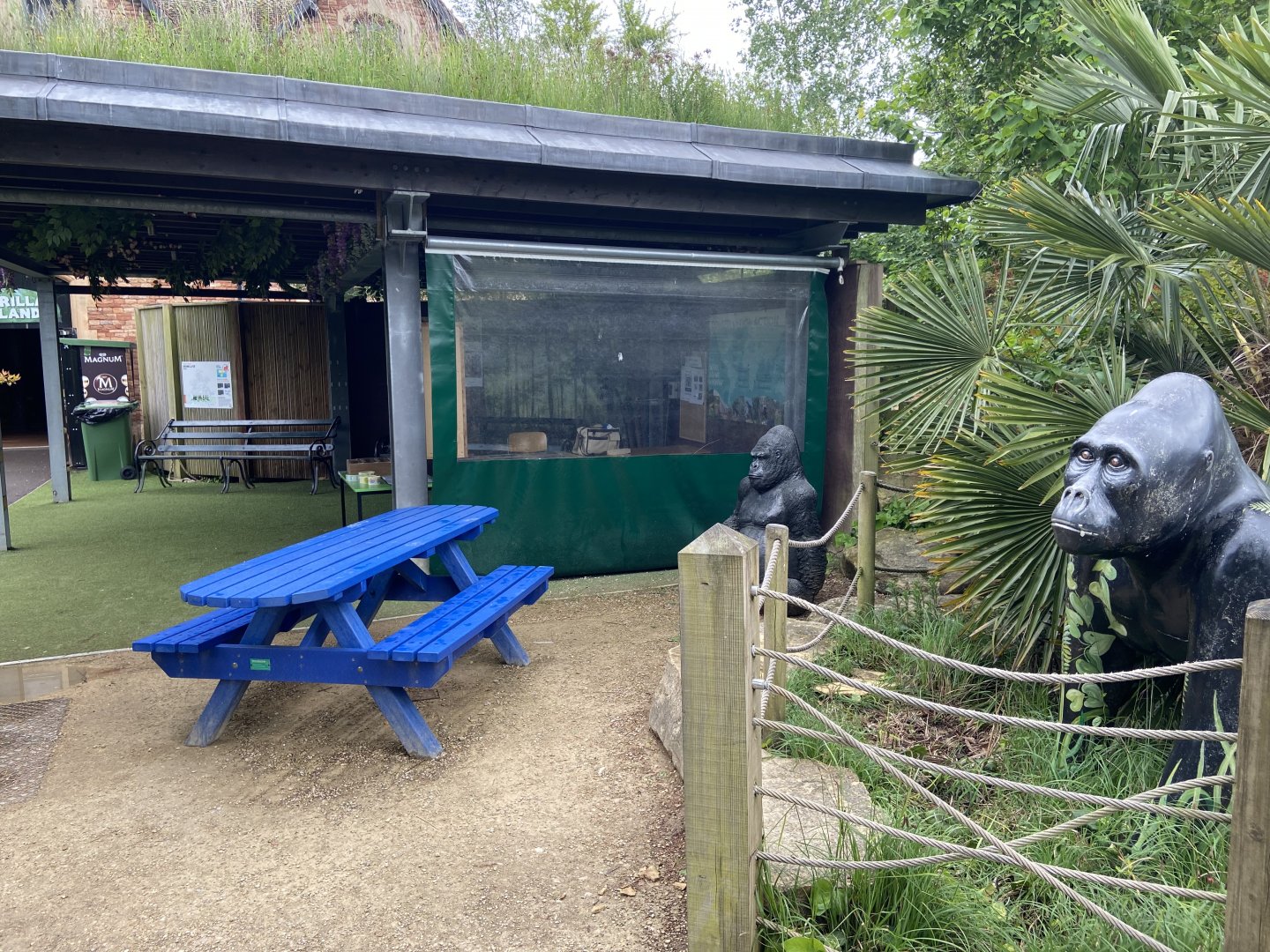 Bristol Zoo Gorilla Island