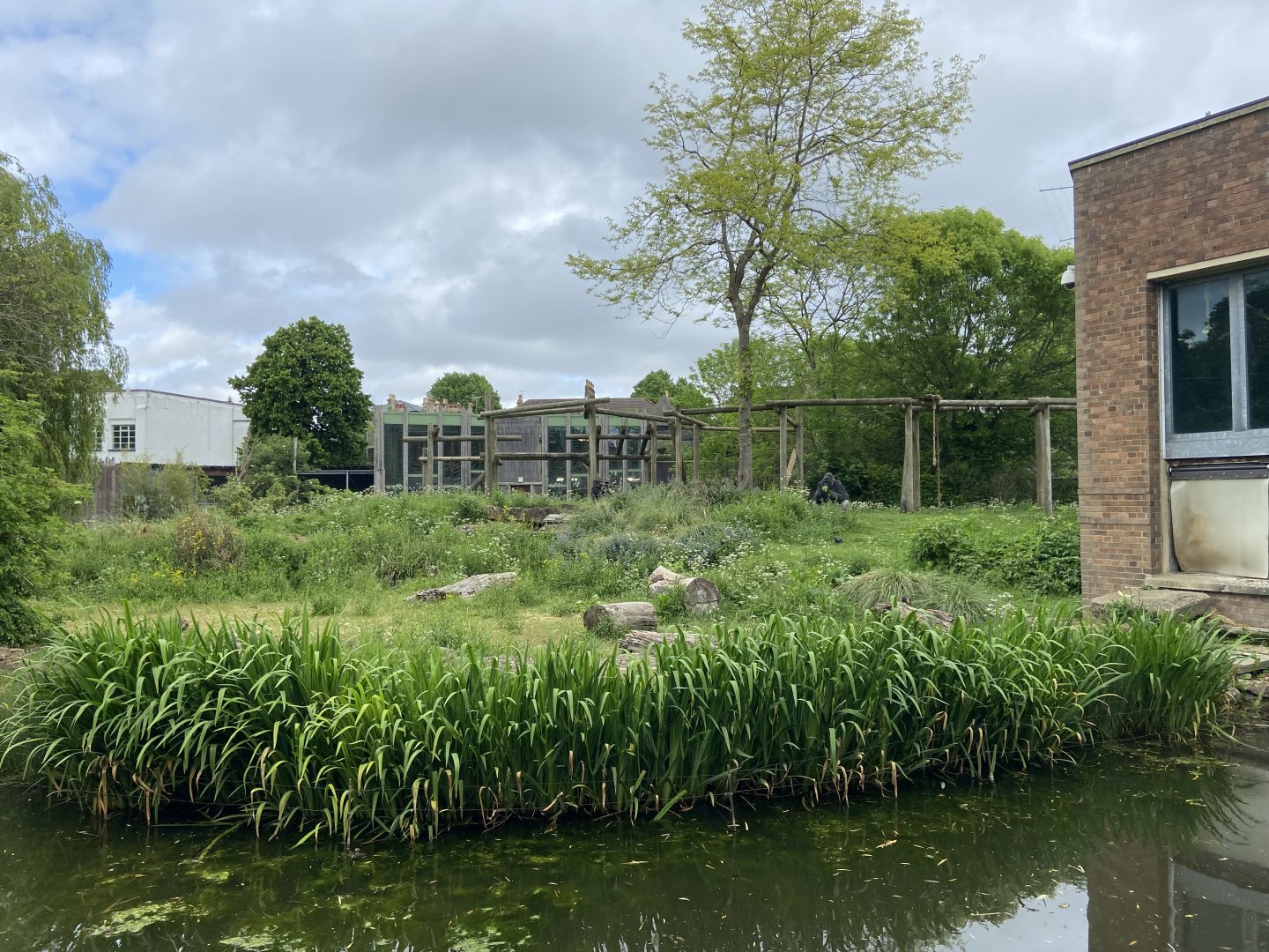 Bristol Zoo Gorilla Island