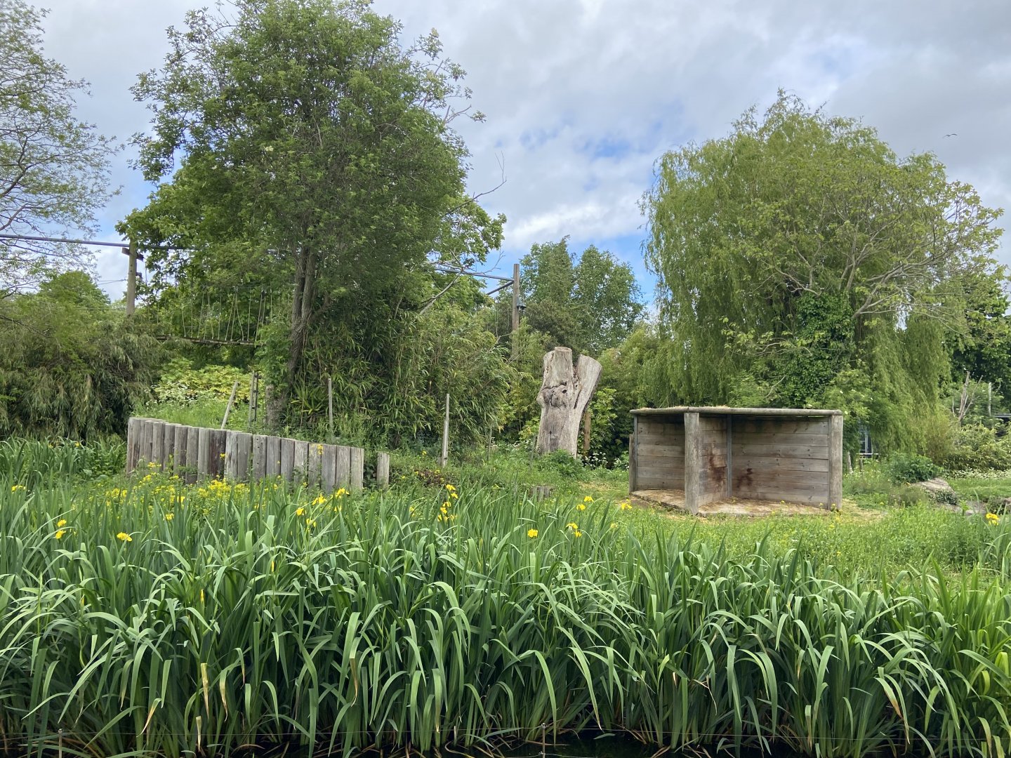 Bristol Zoo Gorilla Island