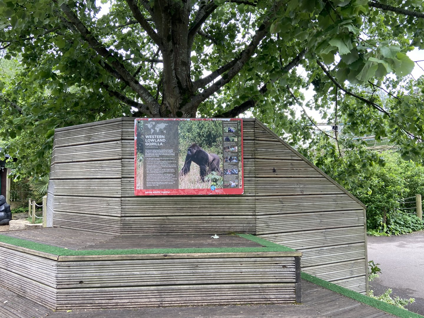 Bristol Zoo Gorilla Island