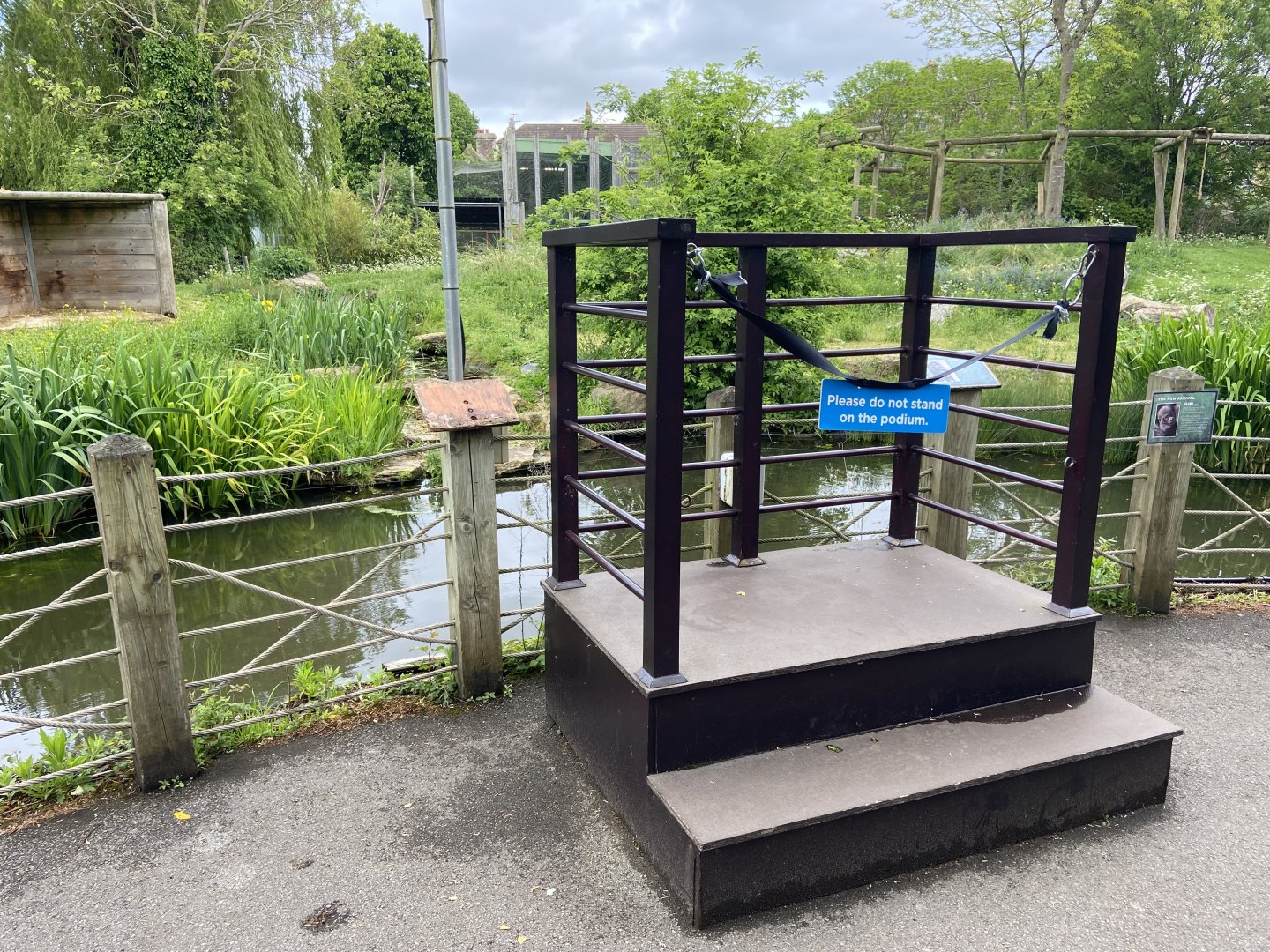 Bristol Zoo Gorilla Island