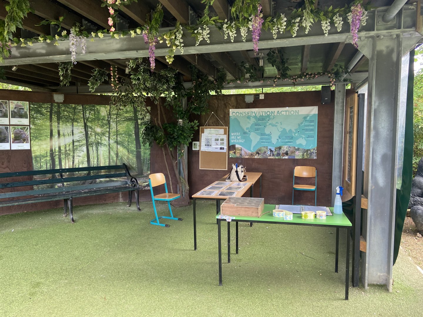 Bristol Zoo Gorilla Island