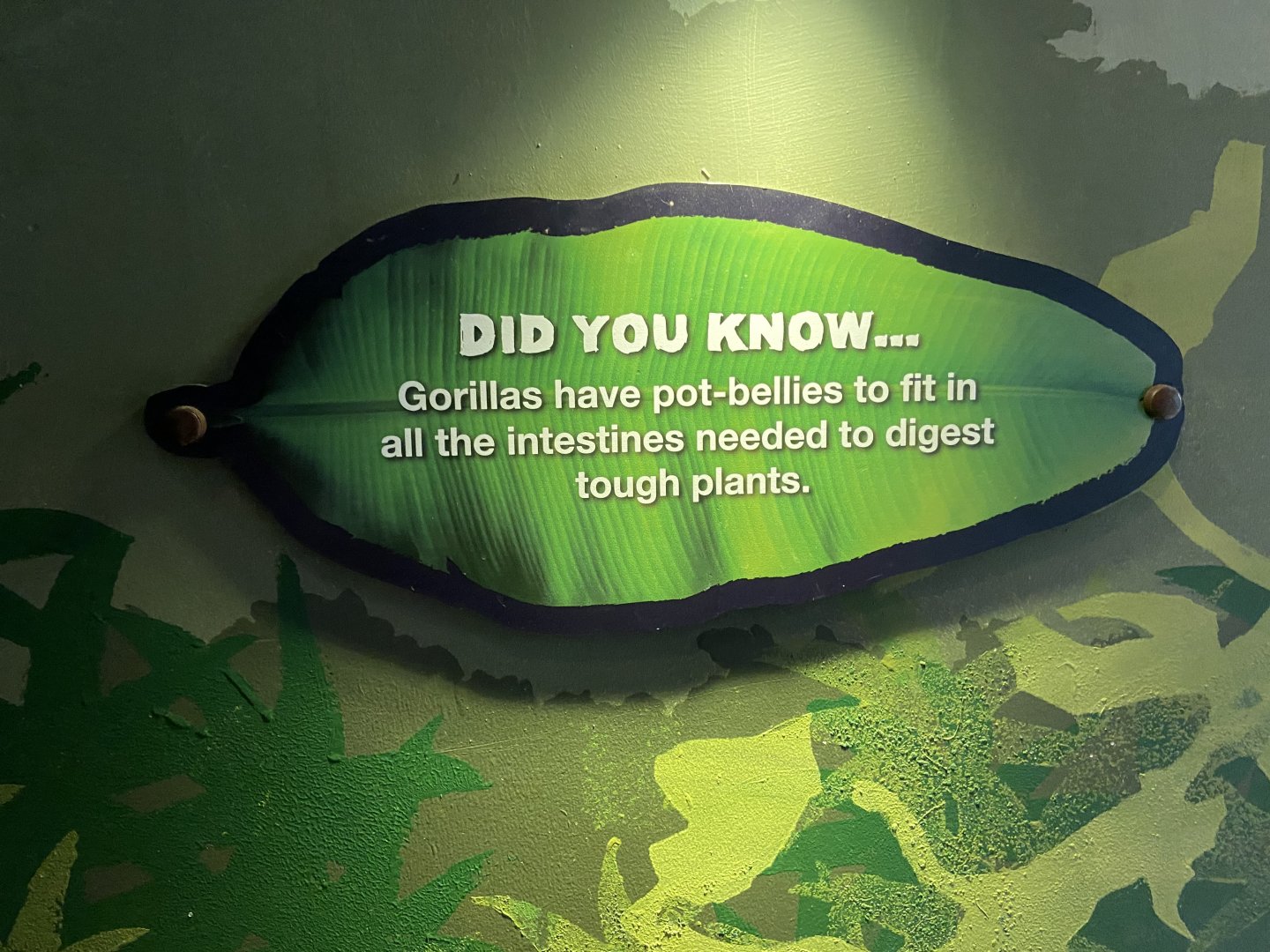 Bristol Zoo Gorilla Island