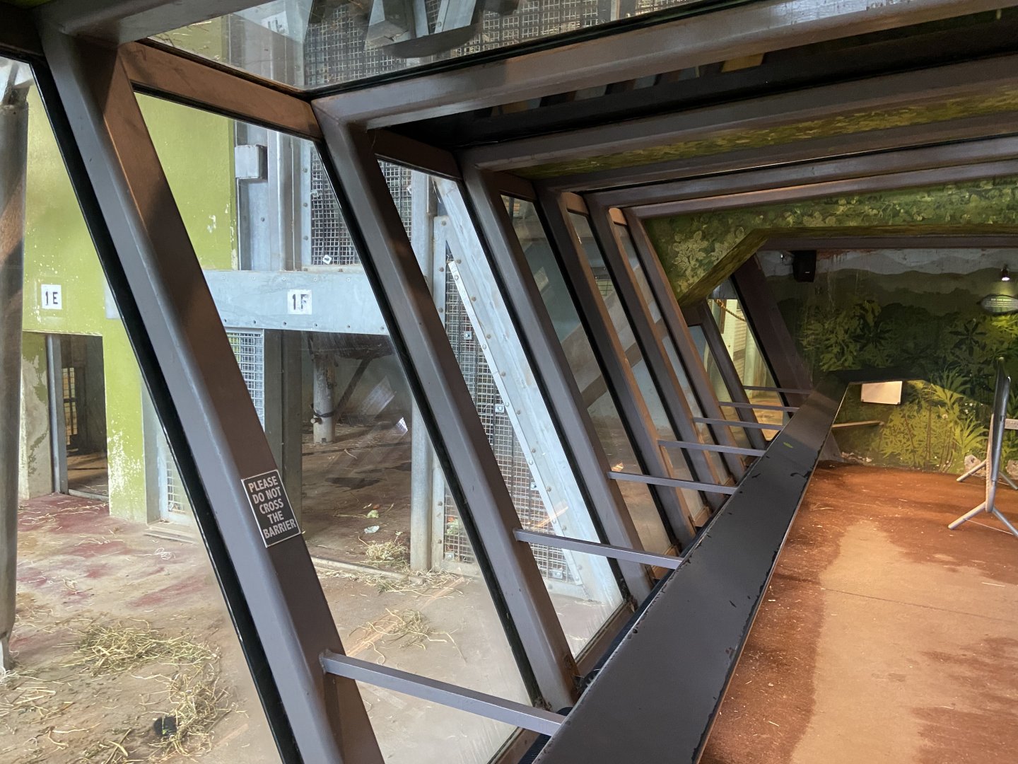 Bristol Zoo Gorilla Island