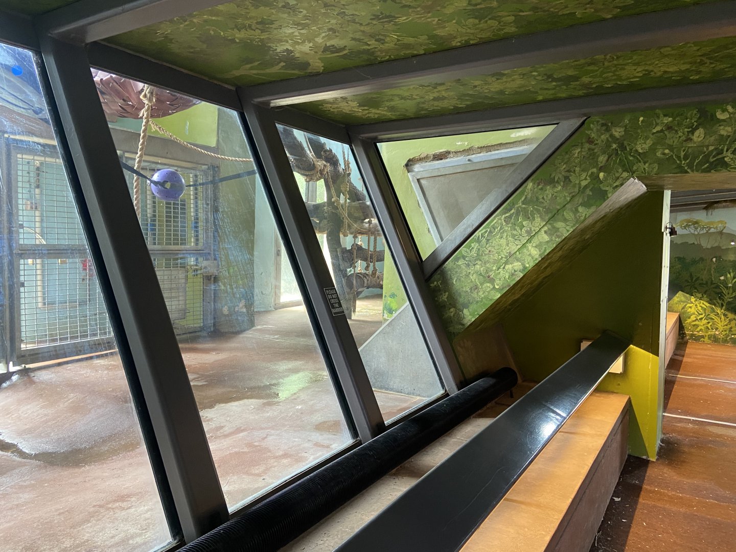 Bristol Zoo Gorilla Island