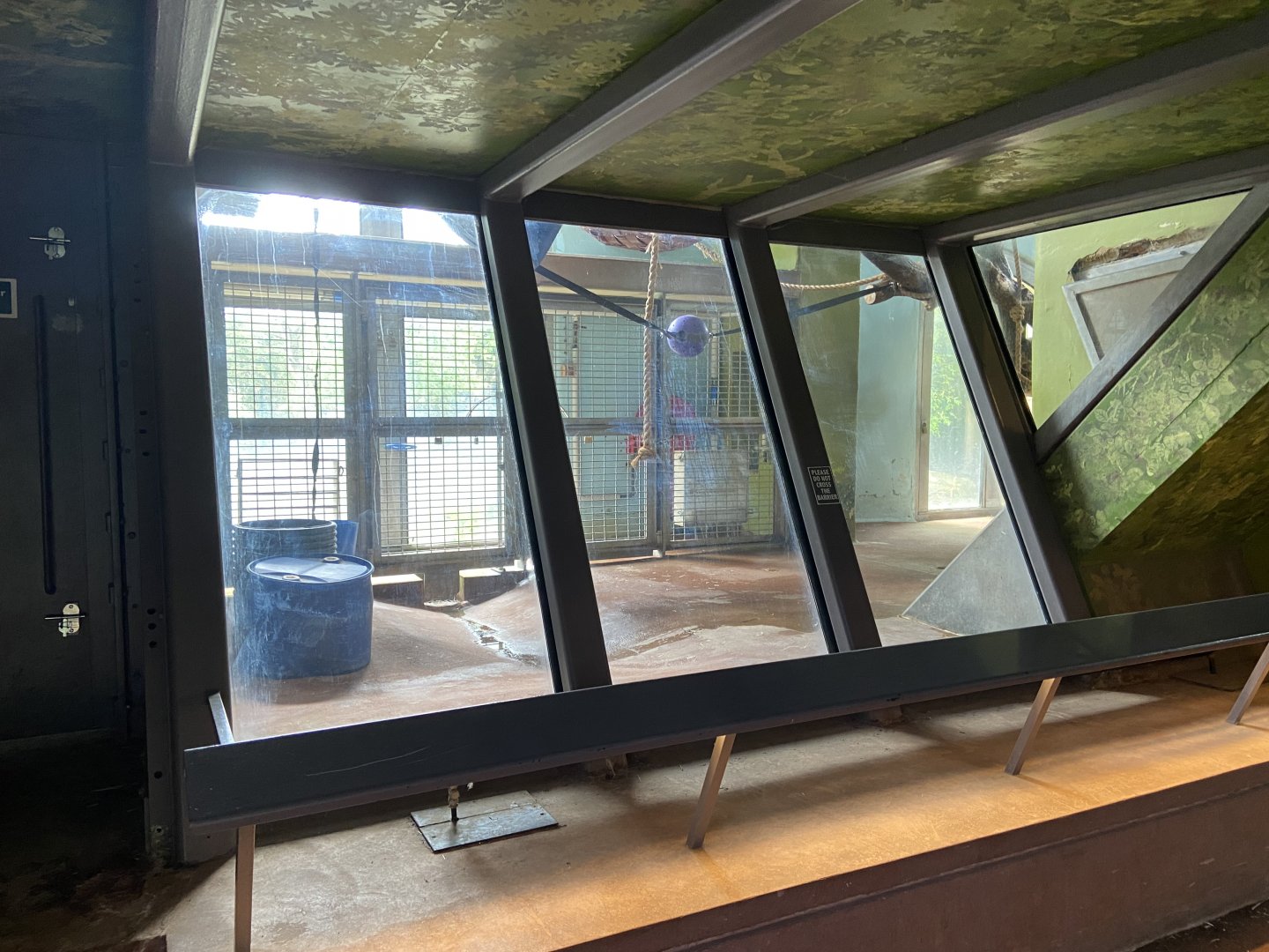 Bristol Zoo Gorilla Island