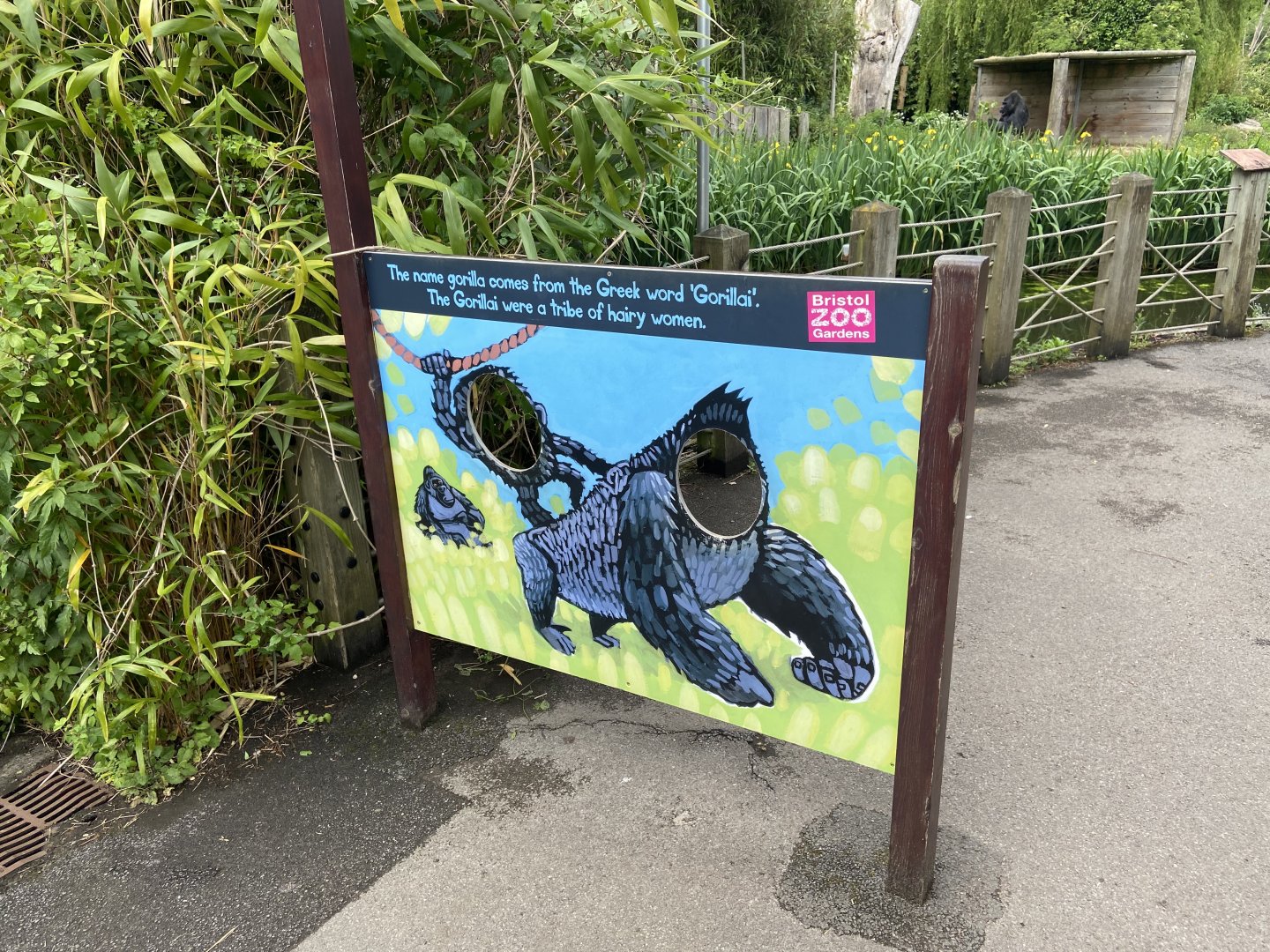 Bristol Zoo Gorilla Island