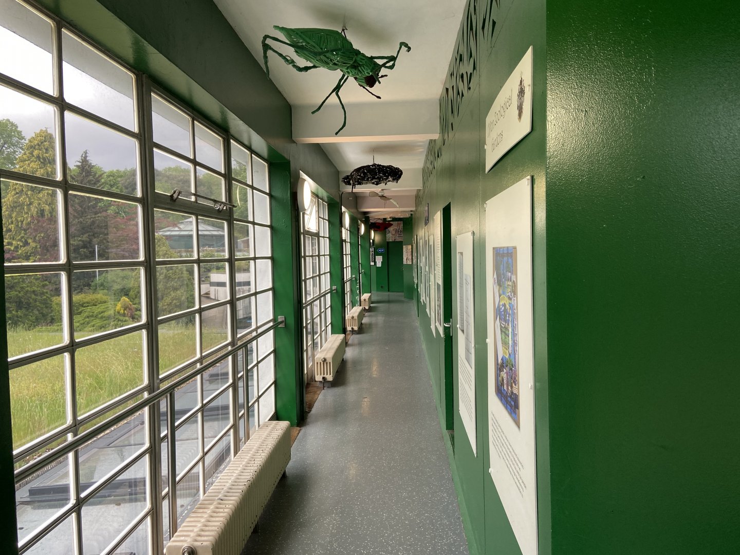 Bristol Zoo history display in Bug World