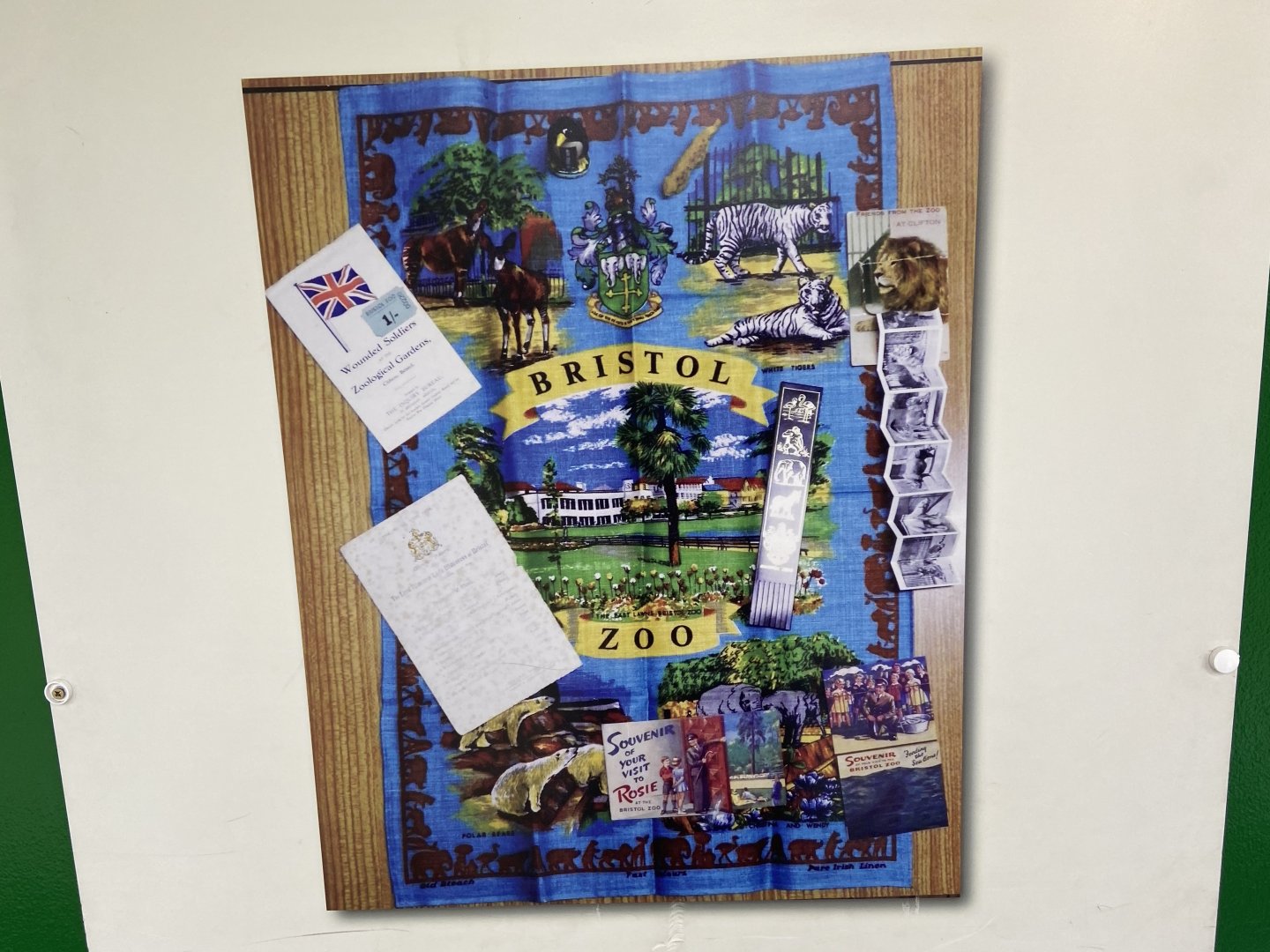 Bristol Zoo history display in Bug World