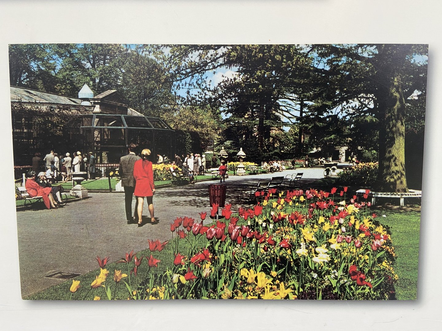 Bristol Zoo history display in Bug World