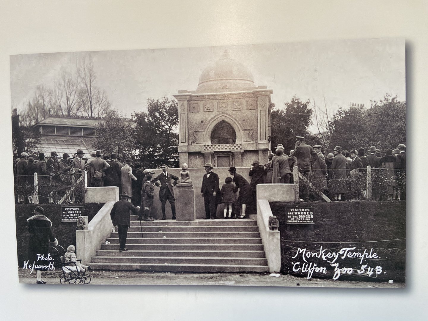 Bristol Zoo history display in Bug World