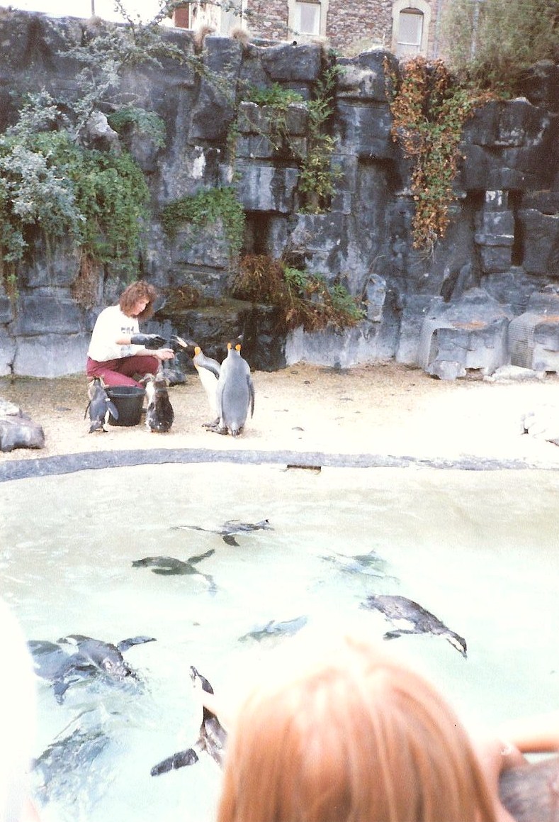 Bristol Zoo July 1989 - Old Penguin Pool