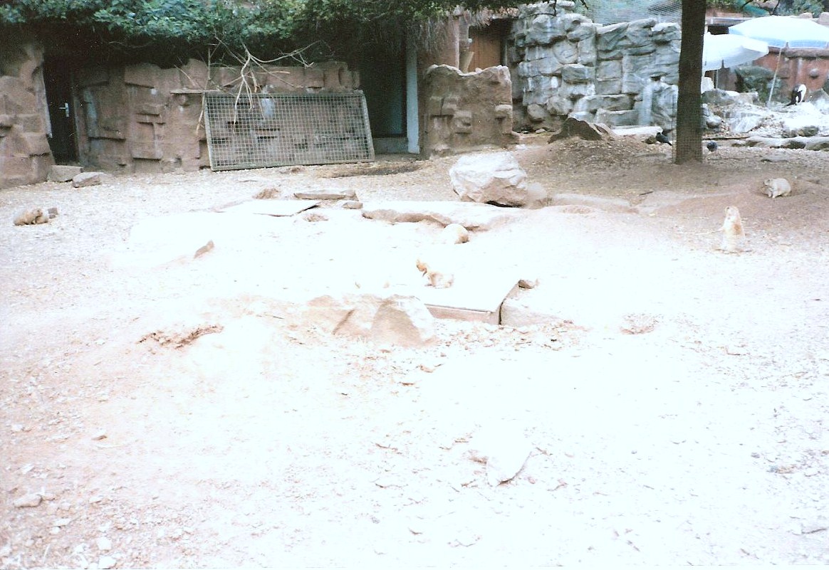 Bristol Zoo July 1989 - South American Enclosure