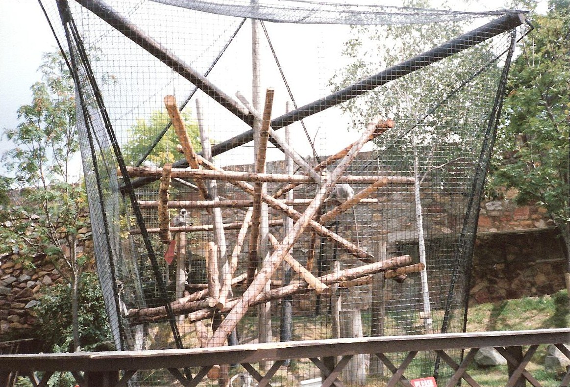 Bristol Zoo July 1989