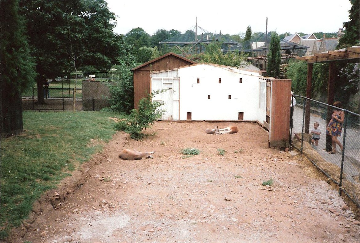 Bristol Zoo July 1989