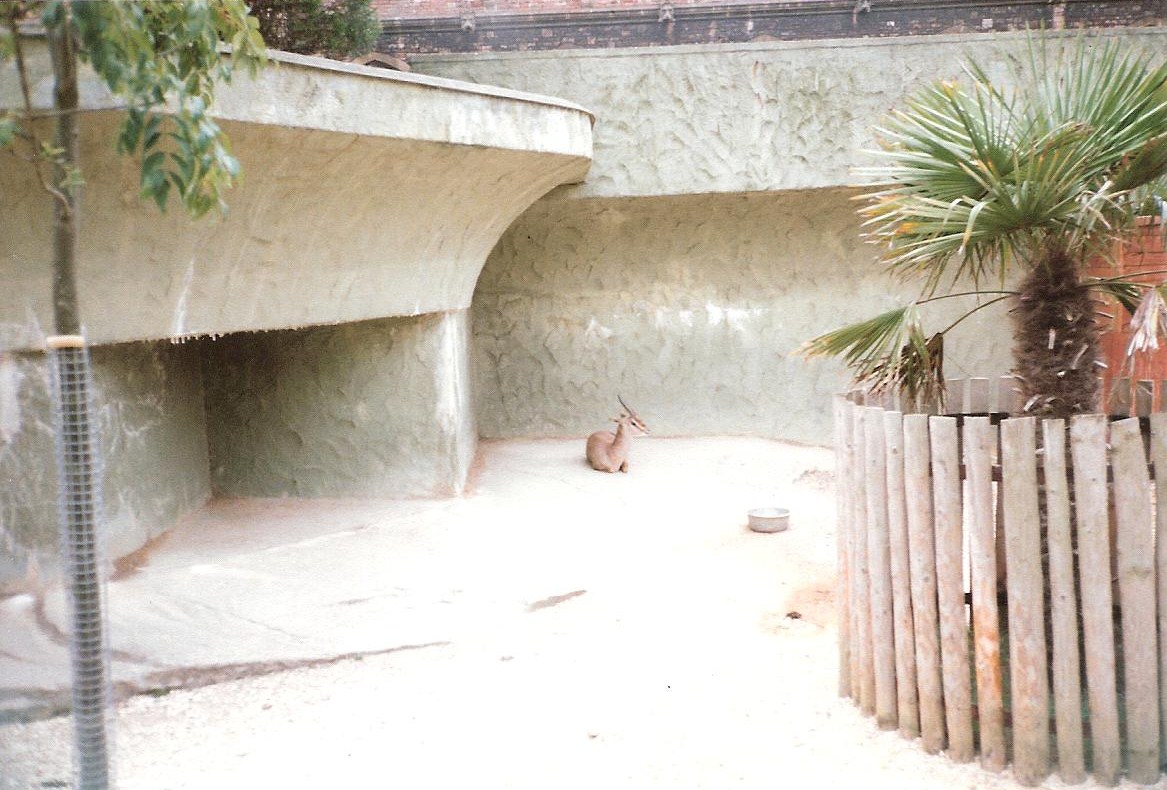 Bristol Zoo July 1989