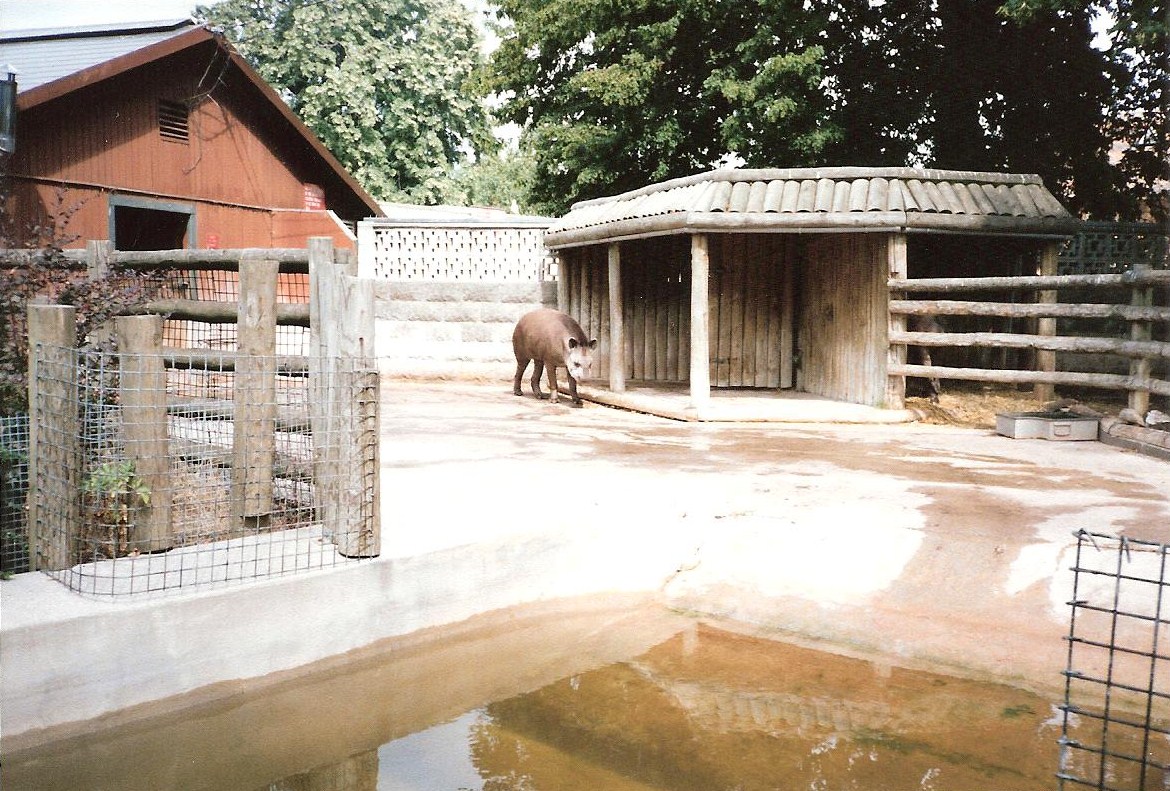 Bristol Zoo July 1989