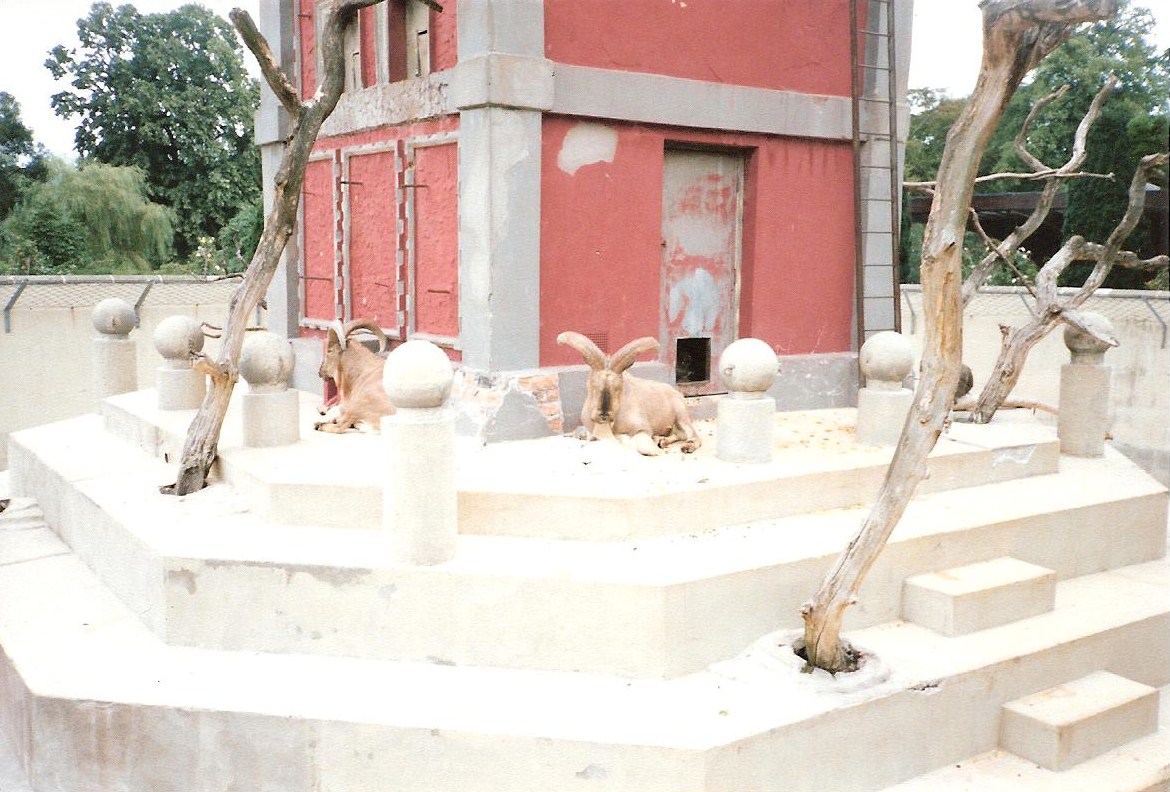 Bristol Zoo July 1989