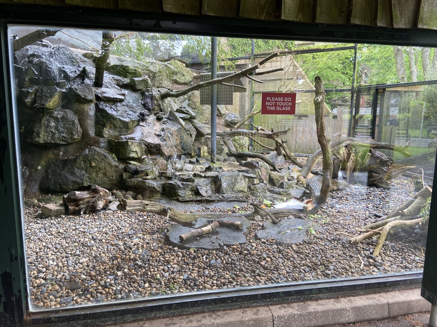 Bristol Zoo kea aviary