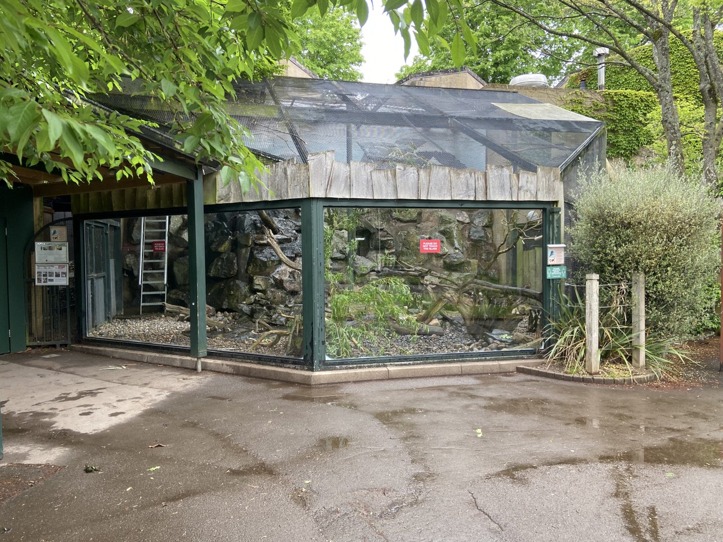 Bristol Zoo kea aviary