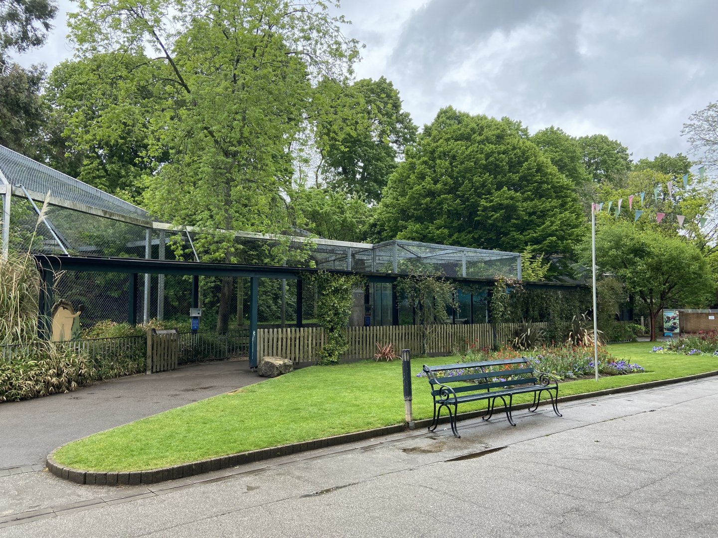 Bristol Zoo lion enclosure