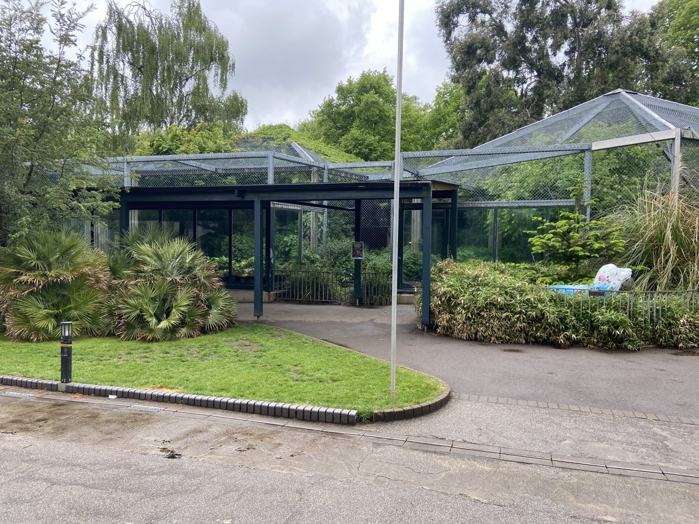 Bristol Zoo lion enclosure