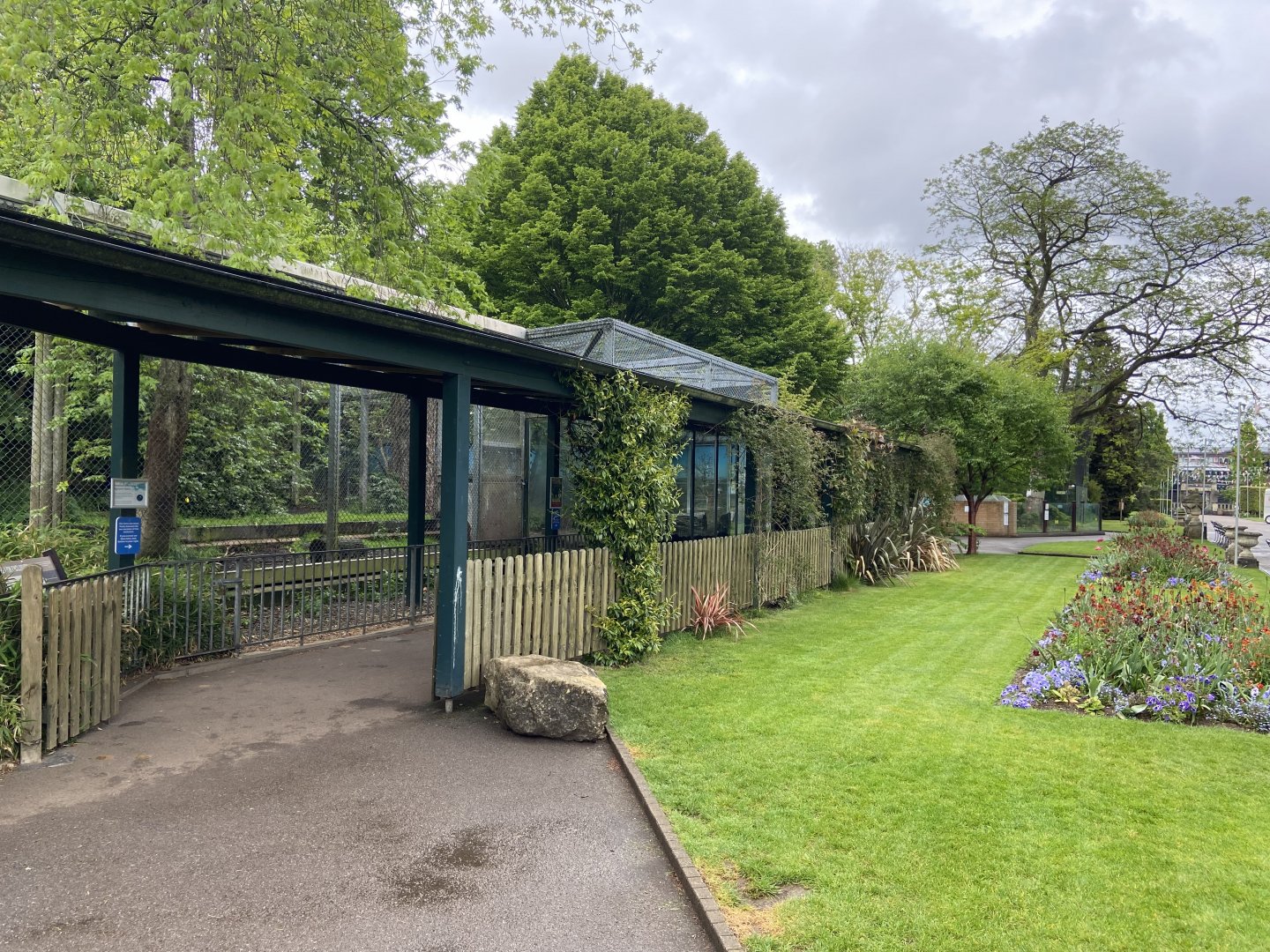 Bristol Zoo lion enclosure