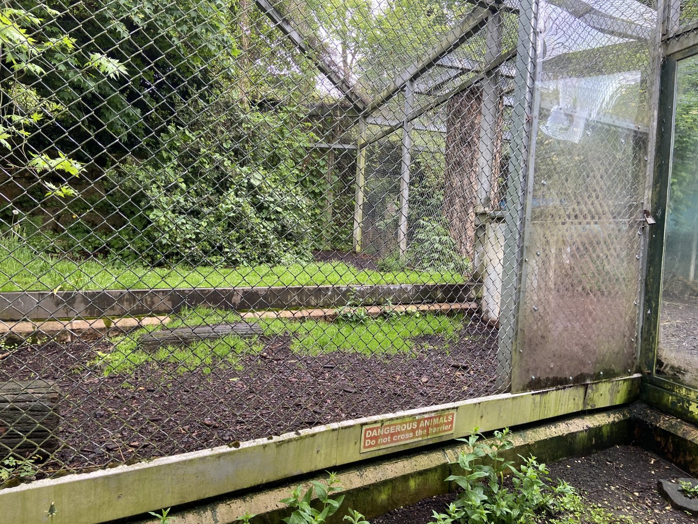 Bristol Zoo lion enclosure