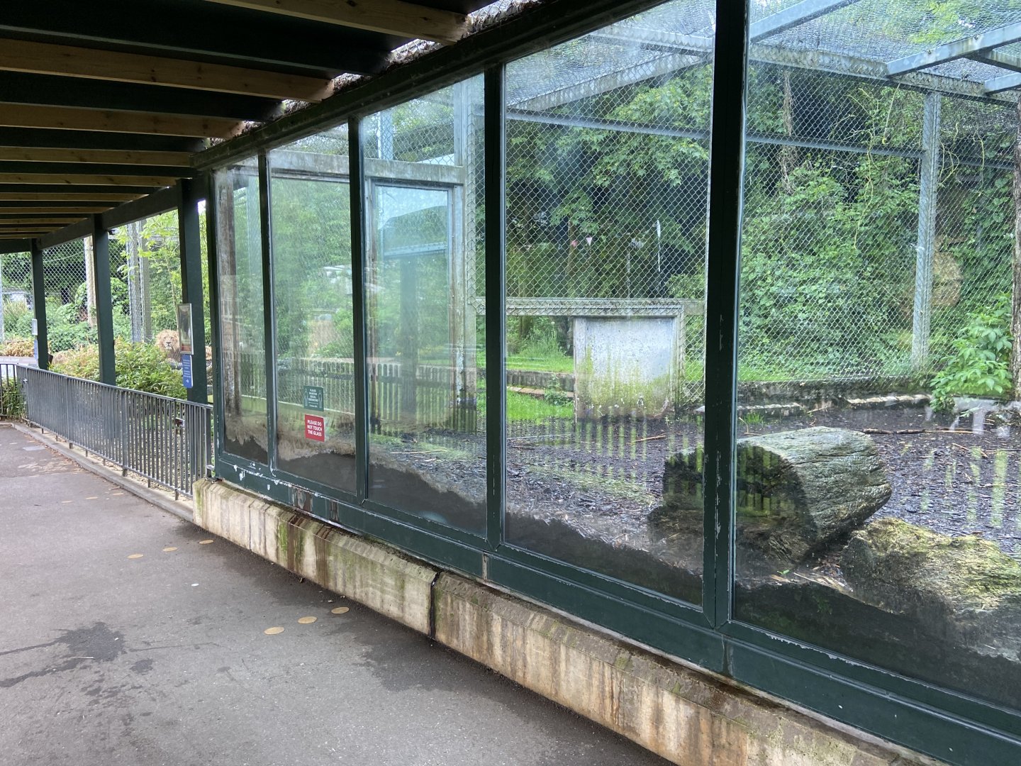 Bristol Zoo lion enclosure