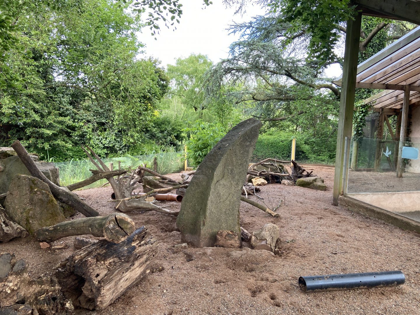 Bristol Zoo Meerkat Lookout