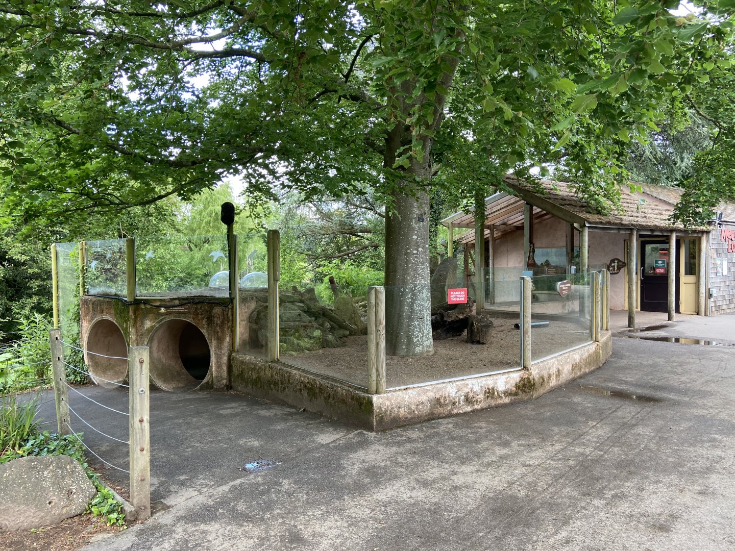 Bristol Zoo Meerkat Lookout