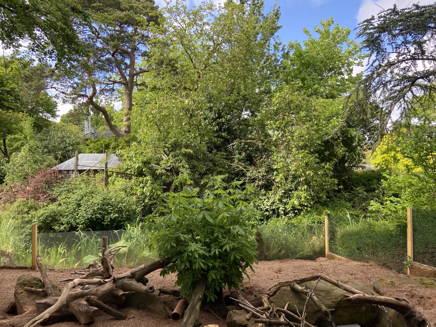 Bristol Zoo Meerkat Lookout
