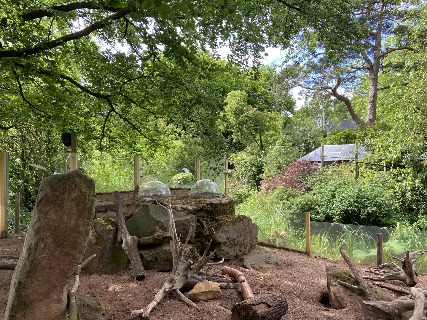 Bristol Zoo Meerkat Lookout