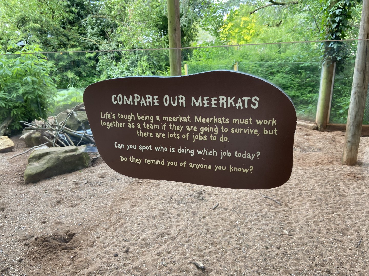 Bristol Zoo Meerkat Lookout