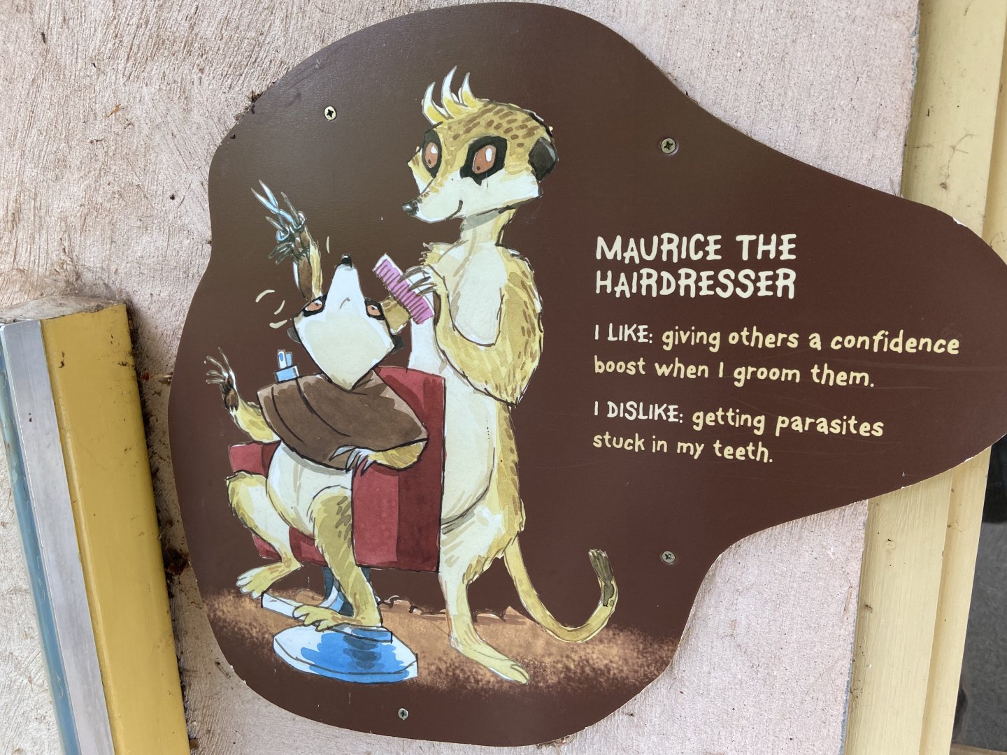 Bristol Zoo Meerkat Lookout