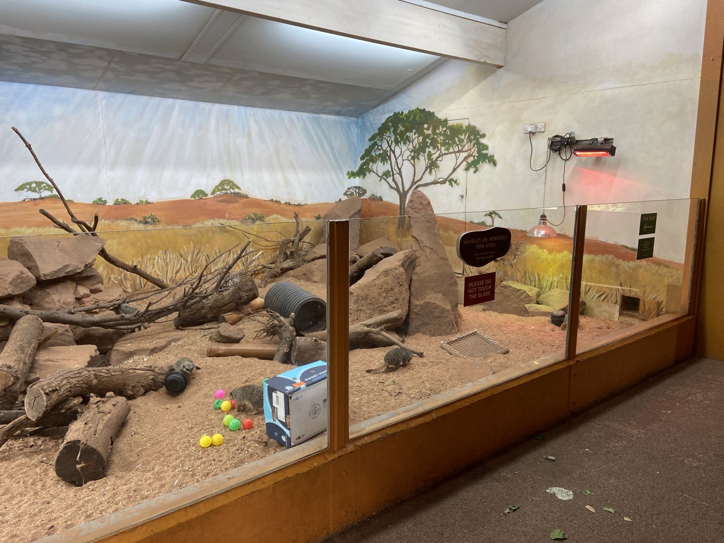 Bristol Zoo Meerkat Lookout