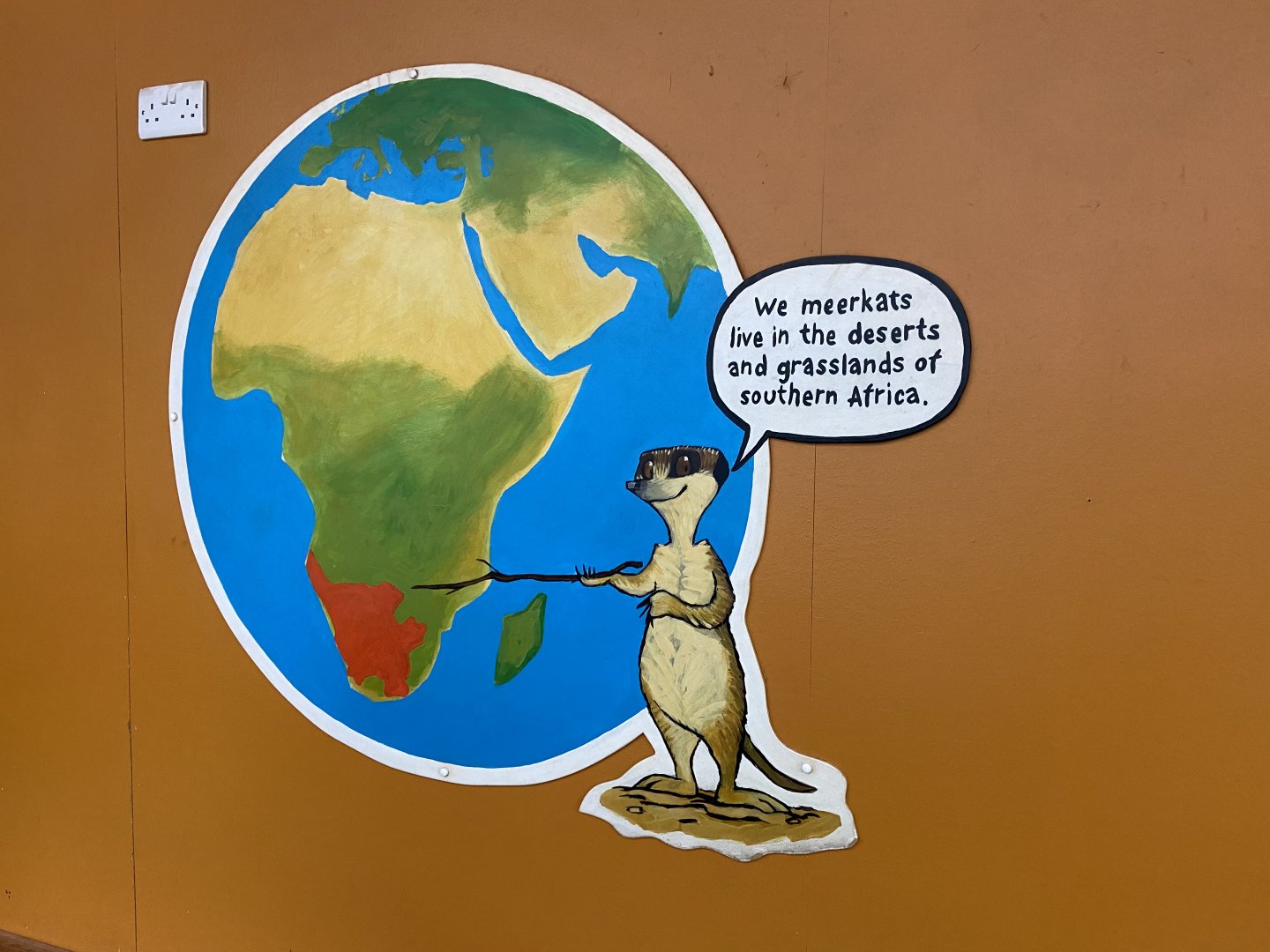 Bristol Zoo Meerkat Lookout